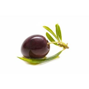 Olive Squalene Oil