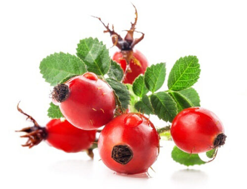 Rosehip, the Miracle Skincare Oil